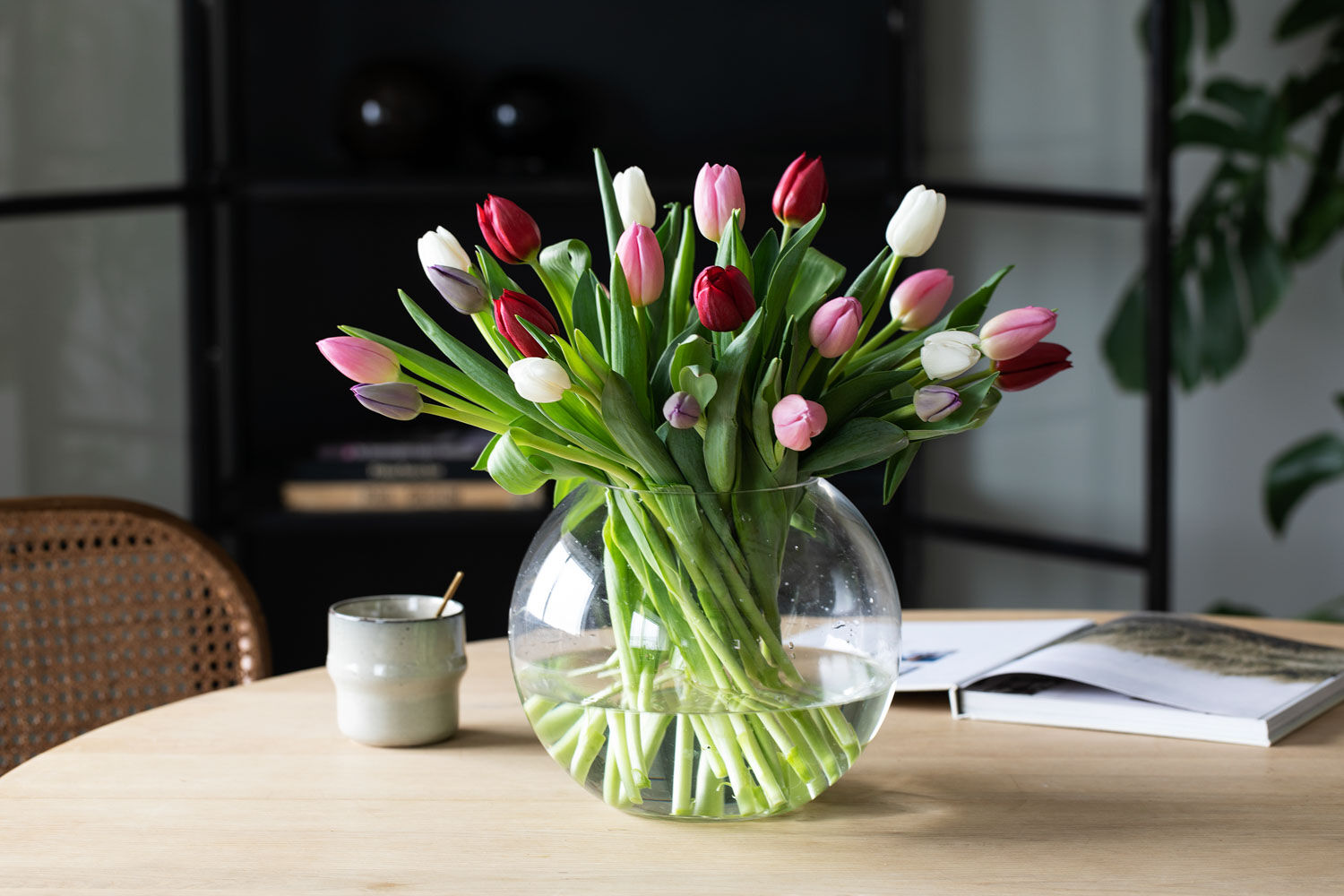 tulipaner bringer v&aring;ren inn i stuen